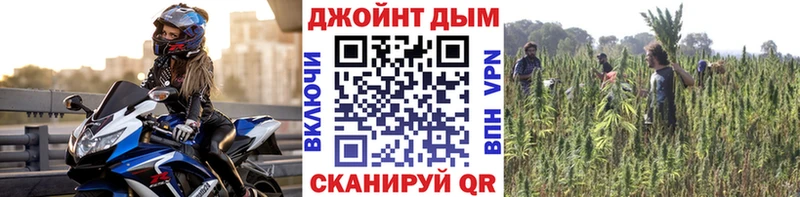 Продажа наркотиков Кудрово Cocaine  Меф  omg   СК  Амфетамин  Бошки Шишки  ГАШ 