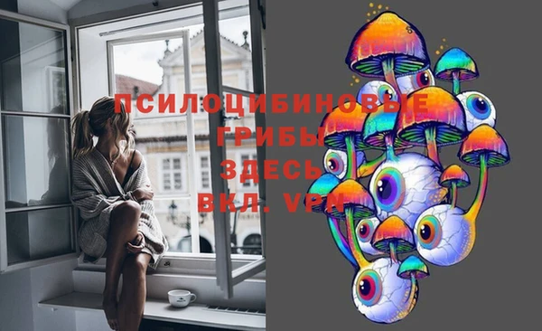 jwh Козельск
