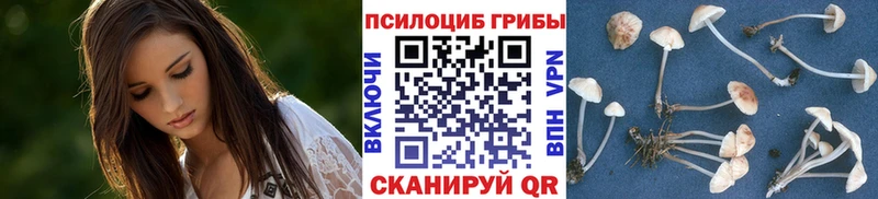даркнет официальный сайт как найти Кудрово Псилоцибиновые грибы Magic Shrooms