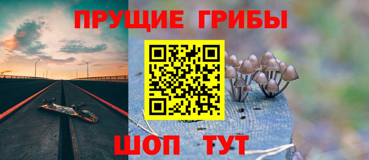 Галлюциногенные грибы GOLDEN TEACHER Кудрово