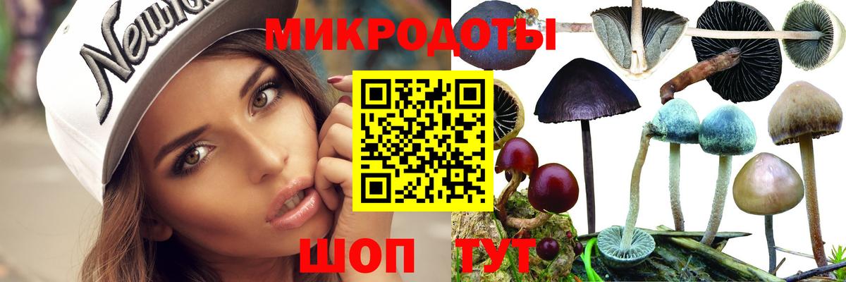 Кудрово  Псилоцибиновые грибы Psilocybe  Вход с VPN 